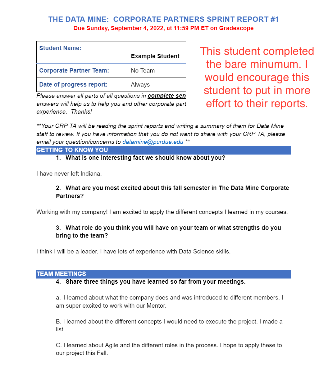 Acceptable Sprint Report Example